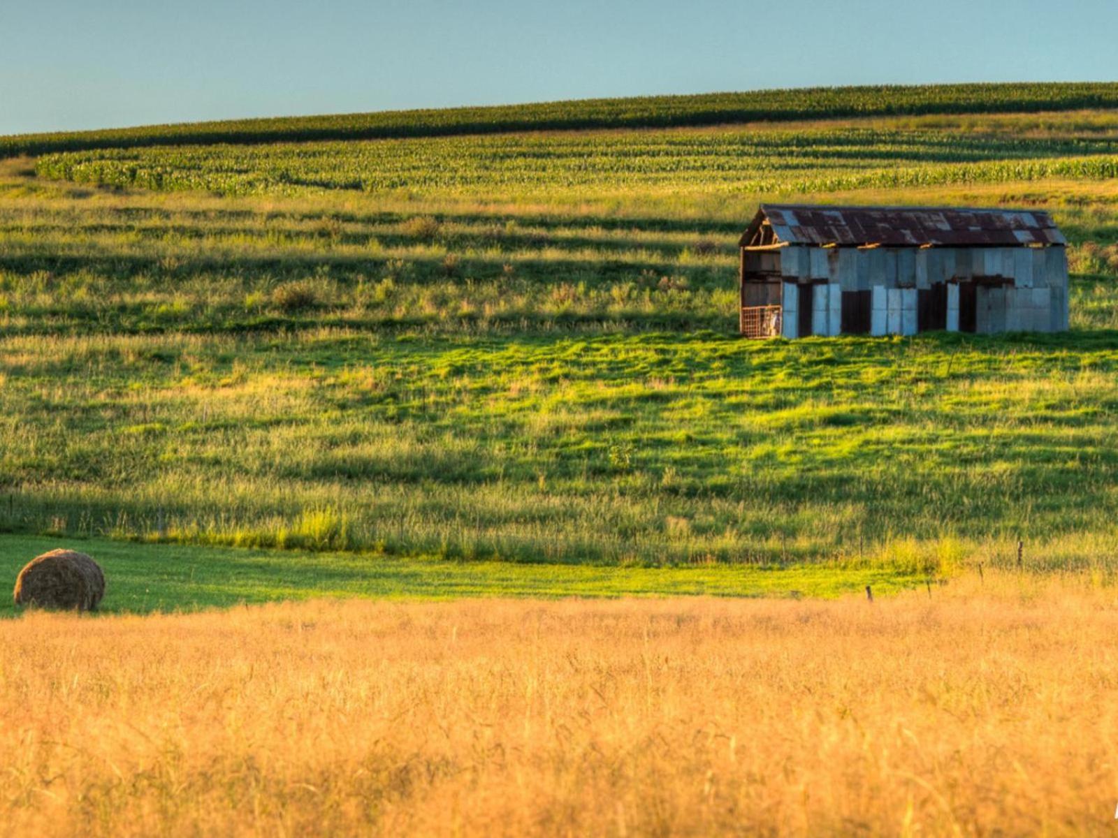 Отель Flitwick Ranch Swartberg Экстерьер фото